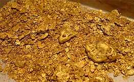 什么是沙金? 什么是沙金?